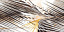 Декор CALACATTA GOLD DECOR A RECT. 1197x597x8